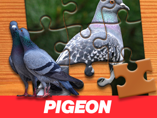 Game Ghép hình Pigeon